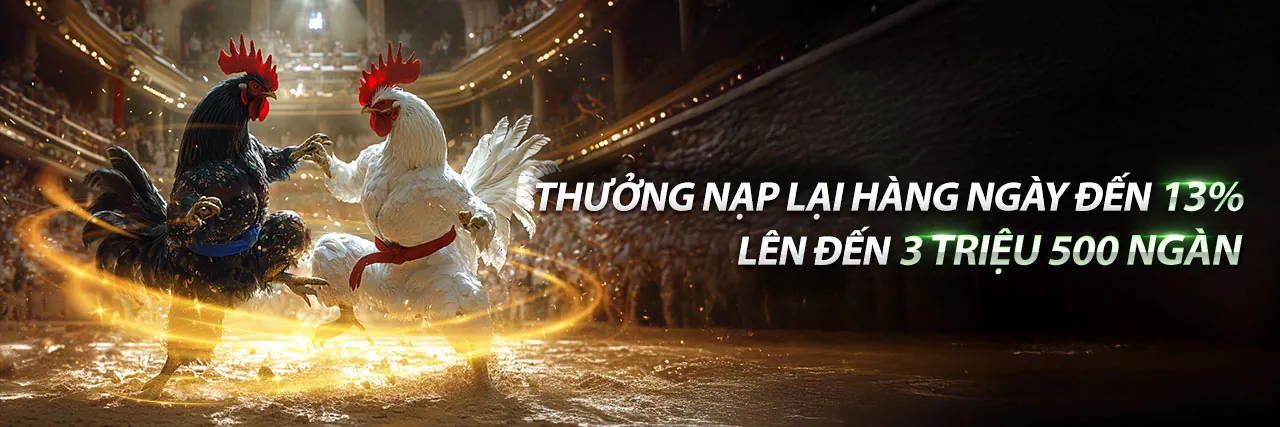 Đấu trường đá gà trực tuyến sôi động tại ok88